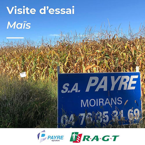 VISITE DE PARCELLE D'ESSAI MA&Iuml;S