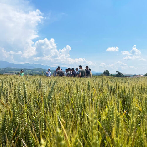 Visites céréales 2023 Visites céréales 2023