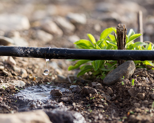 Irrigation Irrigation